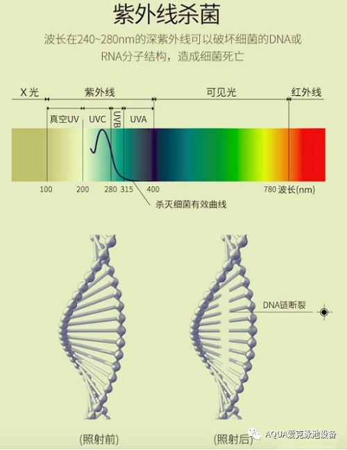 紫外線殺菌原理 紫外線殺菌原理